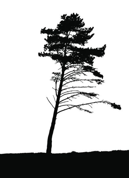 Siluet Pohon Terisolasi White Backgorund Vecrtor Illustration Eps10 - Stok Vektor