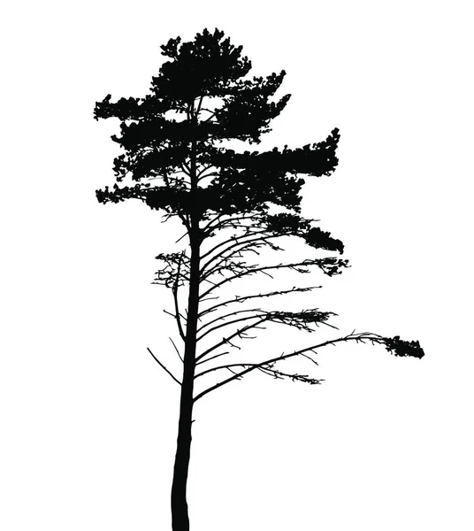 Silhouette Arbre Isolée Sur Fond Blanc Illustration Vectorielle Pse10 — Image vectorielle