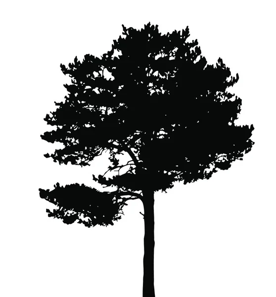 Silhueta Árvore Isolada White Backgorund Ilustração Vecrtor Eps10 —  Vetores de Stock