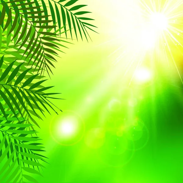 Summer Fresh Green Leaves Sunlight Natural Background Vector Illustration — Stock Vector
