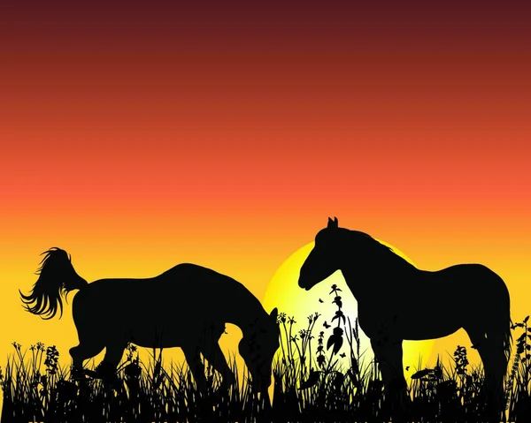 Paard Silhouet Zonsondergang Achtergrond Vectorillustratie — Stockvector