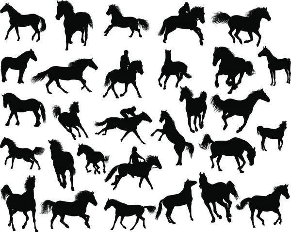 Grande Collection Vectorielle Différentes Silhouettes Chevaux — Image vectorielle