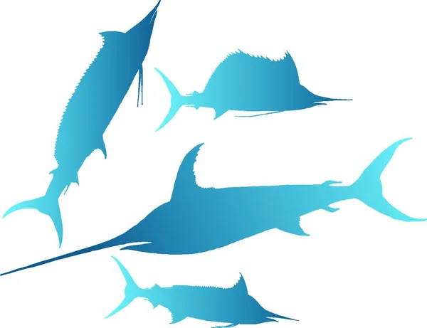 Kılıç Balığı Zıpkın Balığı Yelken Balığı Kılıç Balığının Vektör Çizimi — Stok Vektör