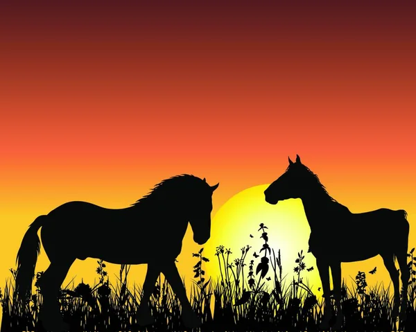 Koně Siluetu Pozadí Při Západu Slunce Vektorové Ilustrace — Stockový vektor