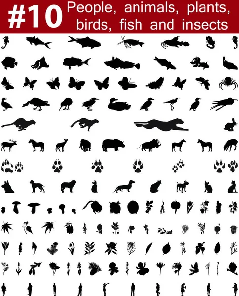 Big collection of collage vector silhouettes of people, animals, birds, fish, flowers and insects