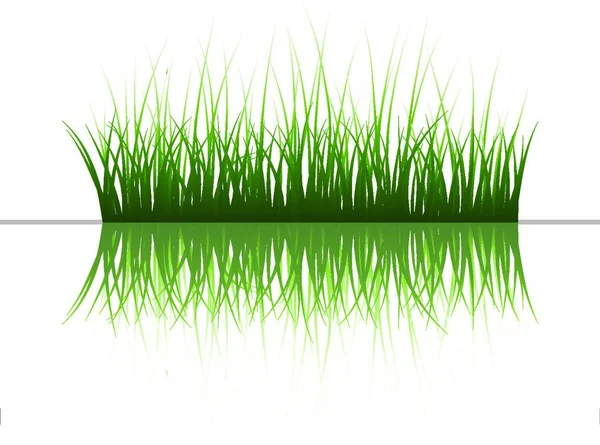 Vector Grass Silhouettes Background Reflection Water All Objects Separated — Stock Vector