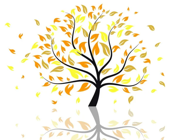 Ilustração Vetorial Árvore Outono Com Folhas Caindo —  Vetores de Stock