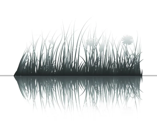 Vector Grass Silhouettes Background Reflection Water All Objects Separated — Stock Vector