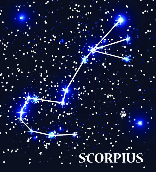 Symbol Scorpius Zodiac Sign Vector Illustration Eps10 — Stock Vector