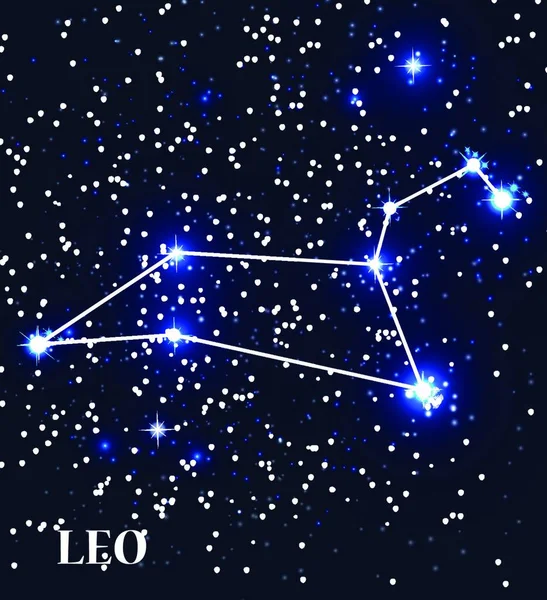 Symbol Leo Zodiac Sign Vector Illustration Eps10 — Stock Vector