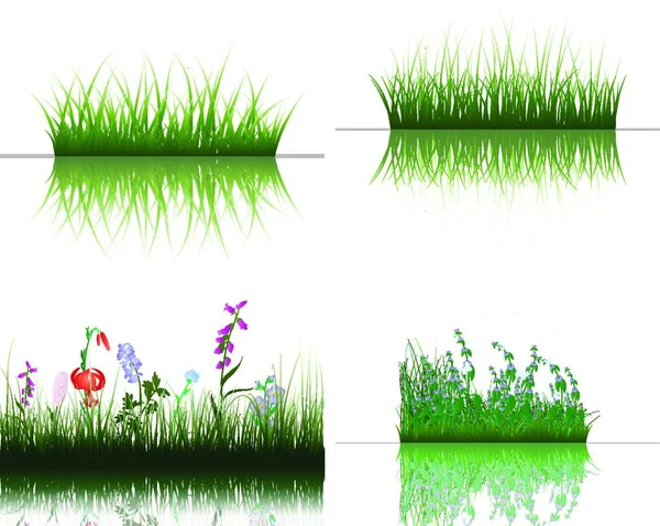 Vektor Gräs Silhuetter Bakgrunder Som Med Reflektion Vatten Alla Föremål — Stock vektor
