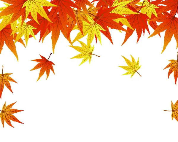 Verdrehte Reihe Von Herbstahornblättern Vektorillustration — Stockvektor