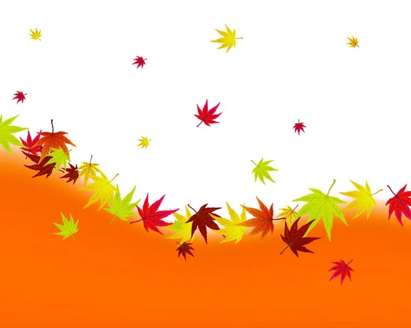 Twisted Row Autumn Maples Leaves Vector Illustration — Stock Vector