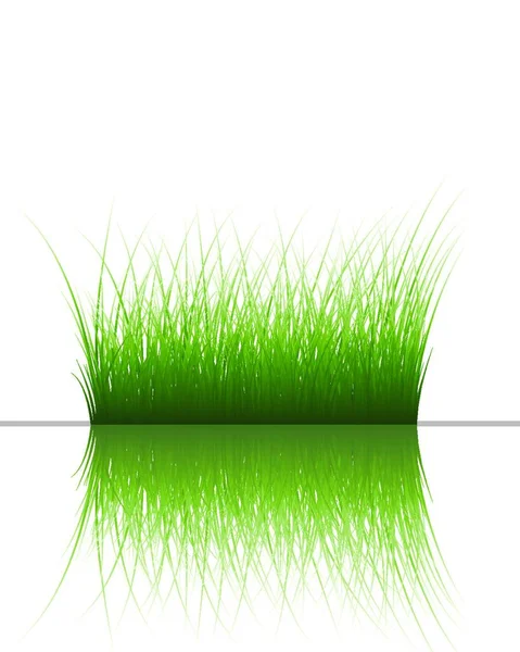 Silhouettes Vectorielles Herbe Fond Avec Réflexion Dans Eau Tous Les — Image vectorielle
