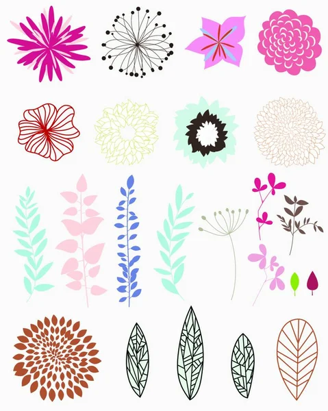 Ensemble Fleurs Feuilles Différentes Pour Fabrication Autoportante Ornements Floraux — Image vectorielle