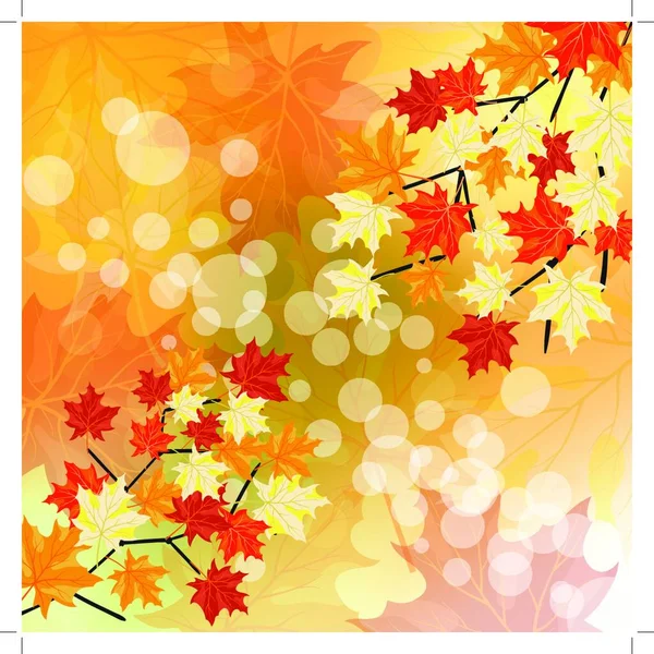 Automne Érables Tombant Feuilles Fond Illustration Vectorielle Avec Trancparence Eps10 — Image vectorielle