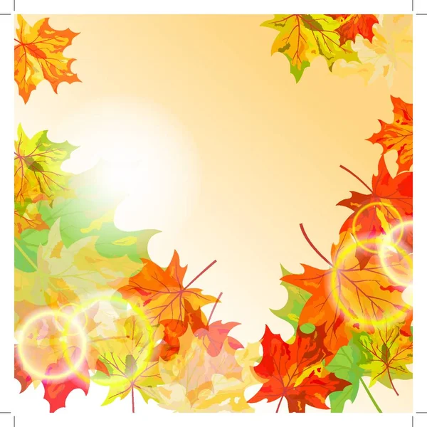 Autumn Maple Leaves Background Vector Illustration Transparency Eps10 — Stock Vector