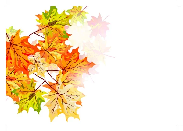 Herbst Ahorn Blätter Hintergrund Vektorabbildung Mit Transparenz Eps10 — Stockvektor