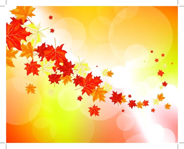 Autumn Maple Leaves Background Vector Illustration Transparency Eps10 — Stock Vector