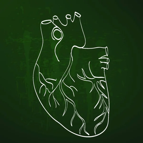 Anatomía Del Corazón Tiza Pizarra Pintada — Vector de stock