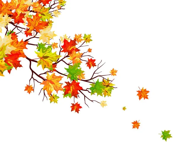 Осенний Клен Оставляет Фон Векторная Иллюстрация — стоковый вектор