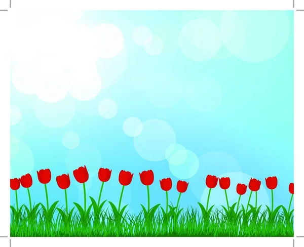 Sommerwiese Hintergrund Mit Tulpen Folge Vektorillustration Mit Transparenz Und Maschen — Stockvektor