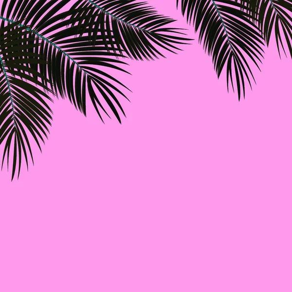 Palm Leaf Vector Achtergrond Illustratie Eps10 — Stockvector