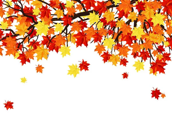 Herbstrahmen Mit Ahornzweigen Und Blättern Auf Weißem Hintergrund Elegantes Design — Stockvektor