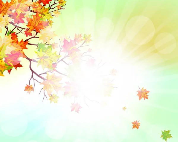 Sonbahar Çerçevesi Düşen Akçaağaç Yaprakları Gökyüzü Arkaplanında Güneş Işınları Dengeli — Stok Vektör