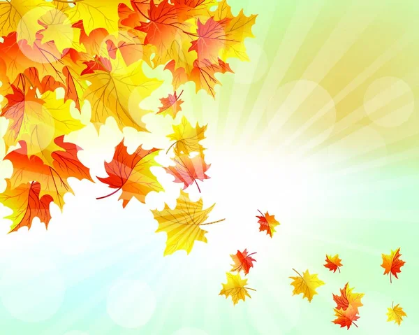 Autumn Frame Falling Maple Leaves Sky Background — Stock Vector