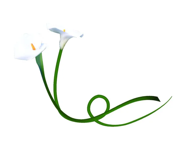 Abstrakte Florale Hintergrund Mit Calla Blume Vektorabbildung Eps10 — Stockvektor