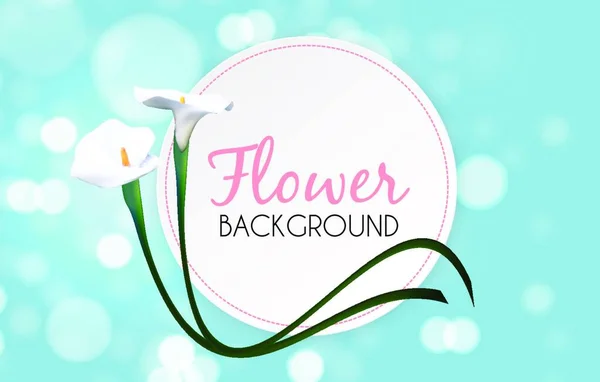 Resumo Fundo Floral Com Flor Calla Ilustração Vetorial Eps10 — Vetor de Stock