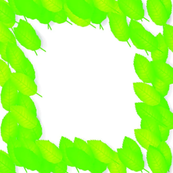 Fundo Abstrato Com Folha Verde — Vetor de Stock