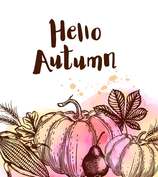 Autumn Background Ripe Pumpkins Corn Wheat Hand Drawn Vector Illustration — Stock Vector