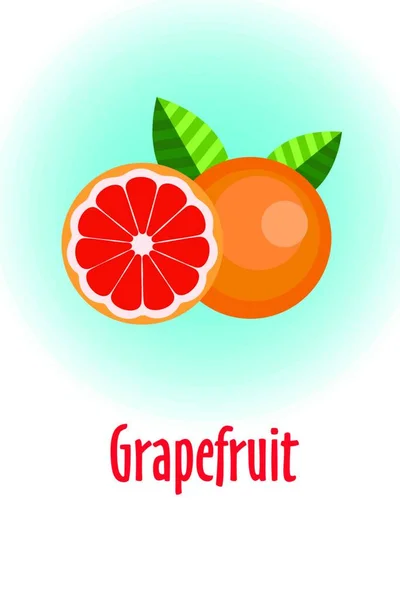 Grépfrút Vektor Illusztráció Egész Greypfrut Gyümölcs Fele — Stock Vector