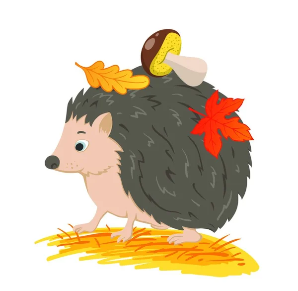 Leuke Bosegel Met Herfstbladeren Paddestoel Een Witte Achtergrond Vectorillustratie — Stockvector