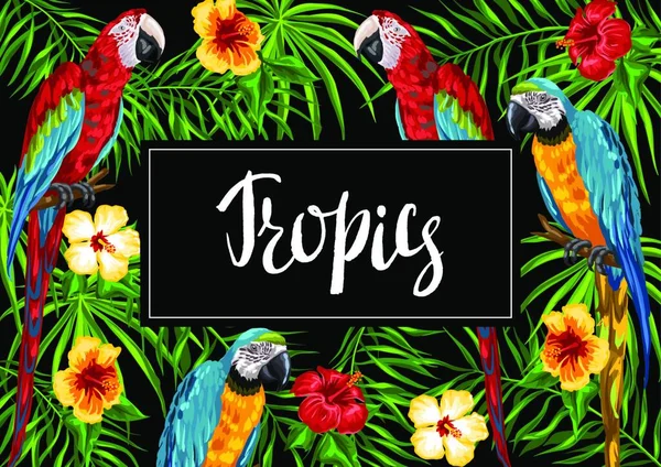 Fondos Tropicales Con Loros Hojas Palma Flores Prohibidas Aves Exóticas — Vector de stock