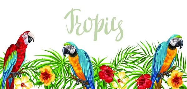 Fondos Tropicales Con Loros Hojas Palma Flores Prohibidas Aves Exóticas — Vector de stock