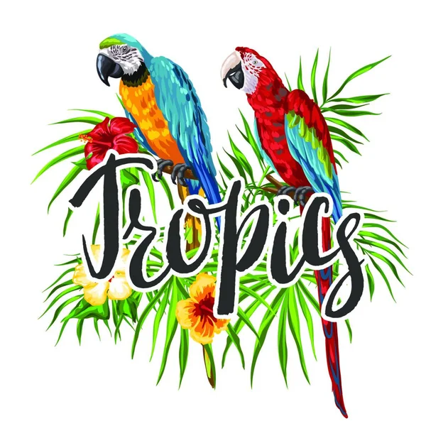 Fond Tropical Avec Perroquets Feuilles Palmier Fleurs Hibiscus Oiseaux Exotiques — Image vectorielle