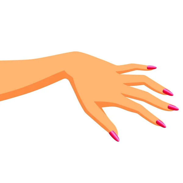Ілюстрація Жіночої Руки Елегантна Рука Манікюром Ілюстрація Жіночої Руки — стоковий вектор