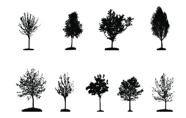 Sada Tree Silhouette Izolované White Backgorund Ilustrace Vektoru — Stockový vektor