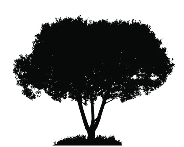 White Backgorund Ağaç Silueti Izole Edilmiş Vektör Llüstrasyonu — Stok Vektör