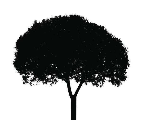 White Backgorund Ağaç Silueti Izole Edilmiş Vektör Llüstrasyonu — Stok Vektör