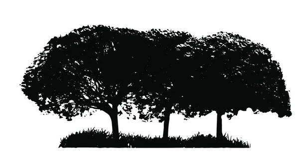 Σιλουέτα Του Δέντρου Απομονώθηκε Στο Γουάιτ Μπάκγκορουντ Εικονογράφηση Διανύσματος — Διανυσματικό Αρχείο