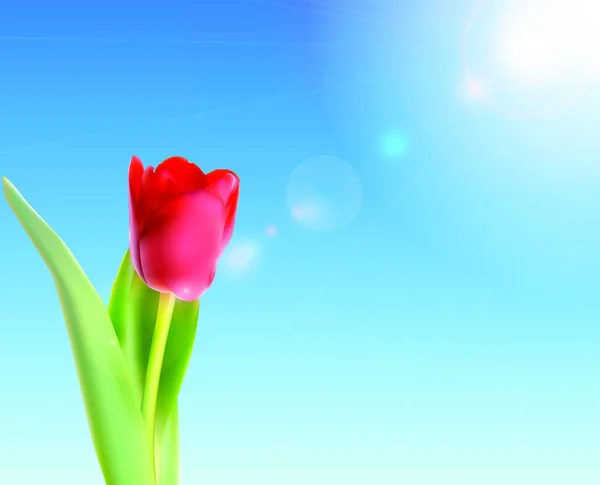 Hermosos Tulipanes Rosados Contra Cielo Brillante Vector Ilustración Eps10 — Vector de stock