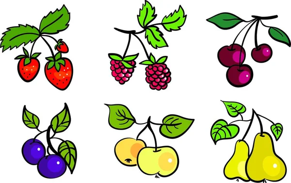 Conjunto Frutas Bayas — Vector de stock