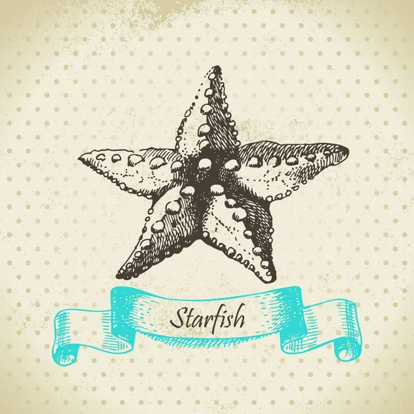 Estrella Mar Ilustración Dibujada Mano — Vector de stock