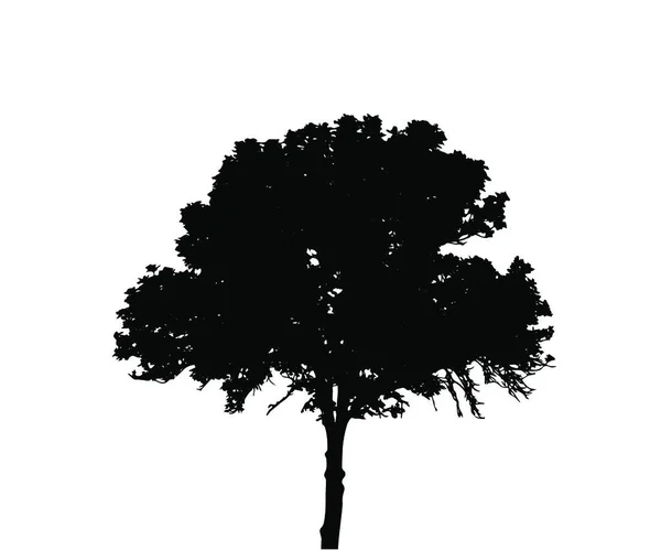 Silueta Árbol Aislada Backgorund Blanco Ilustración Vecrtor Eps10 — Vector de stock