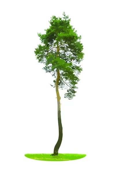 Albero Silhouette Colorato Isolato White Backgorund Illustrazione Del Vettore Eps10 — Vettoriale Stock