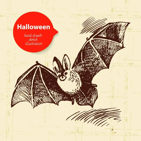 Halloween Illustration Dessinée Main — Image vectorielle